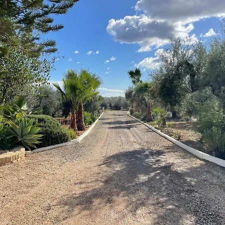 El Paraiso Del Olivar